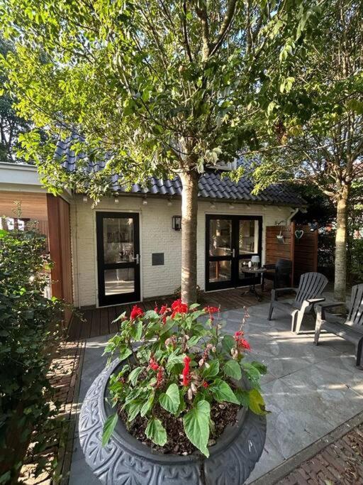 Vakantiehuis Bijsaar Noordwijk Bagian luar foto